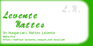 levente mattes business card